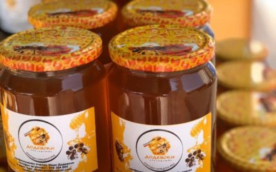 Будење на организмот со природен мед во чаша топла вода